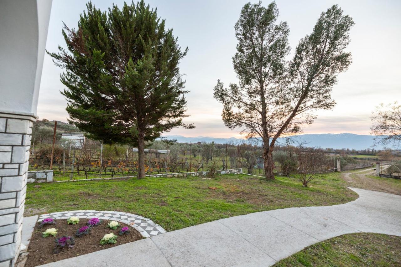 τrικαλα - μετεorα-villa Toscana Villa